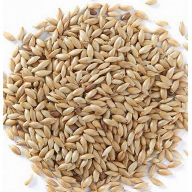 Canary Seeds(1 KG)