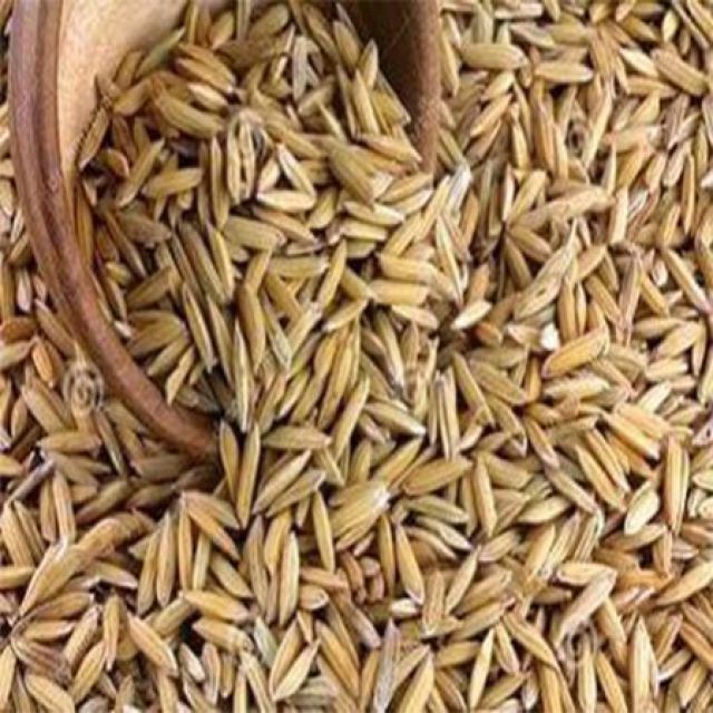Brown Rice Paddy Seeds 1Kg