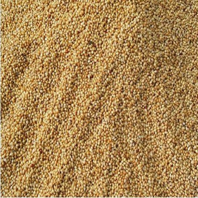 Millet Seeds (Bareekh Kangni) (1 Kg)