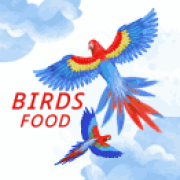 All birds food